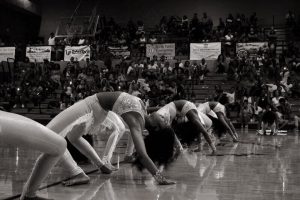 16473263_1305839789491452_1221254558582735384_n