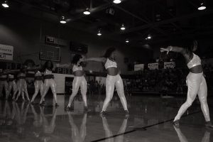 16507941_1305839692824795_5952942124001821835_n