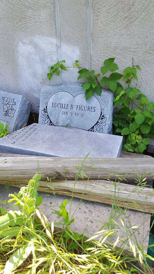 34089666_1652773294841037_417033258493018112_n