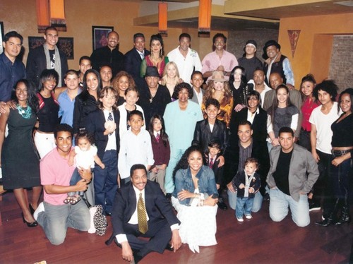 joe-and-katherine-jacksons-family-their-children-grandchildren-and-greatgrandchildren-jaafar-jackson-27848516-500-374