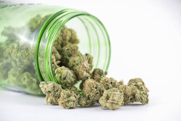 marijuana-in-jar