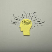 Critical Race Theory, CRT, Tulsa Public Schools, TPS, HB 1775, Critical Race Theory, Governor Kevin Stitt, Stitt, Oklahoma Politics, Education, Racism, African American History, Black History, The Oklahoma Eagle, The Historic Greenwood Disctict, Black Wall Street