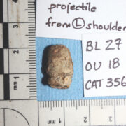 Phoebe Stubblefield, Kristi Williams, Kavin Ross, 1921 Graves Investigation Public Oversight Committee, GT Bynum, 1921 Tulsa Race Massacre, Race Massacre, Racial Violence, Greenwood, Tulsa, Black Wall Street, Historic Greenwood District, African American History, Black History, The Oklahoma Eagle, Greenwood